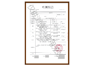 檢測報告-1